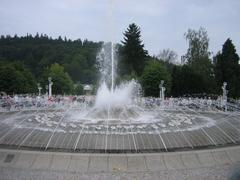 musical fountain at night with colorful lights