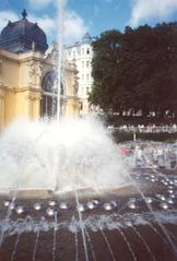 Mariánské Lázně Singing Fountain at night