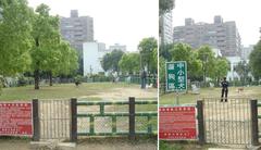 dog exercise area at Sihhao Park in Zhonghe District, New Taipei City