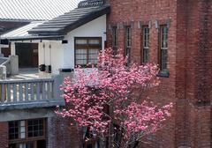 Beitou Hot Spring Museum building exterior