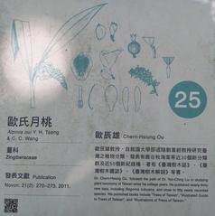 Information board of Chern-Hsiung Ou at Botanists Memorial Garden