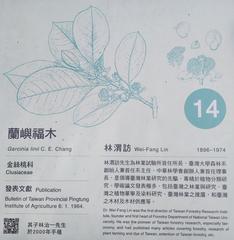 Information board of Wei-Fang Lin in Botanists' Memorial Garden, Taipei Botanical Garden