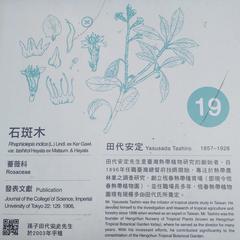 Information board of Yasusada Tashiro in Botanists Memorial Garden in Taipei Botanical Garden