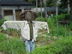 Scarecrow in Taipei Botanical Garden