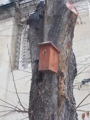 Nest box in the Courtyard of Vajdahunyad Castle in Budapest