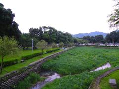 Dahu Park wetland in the evening