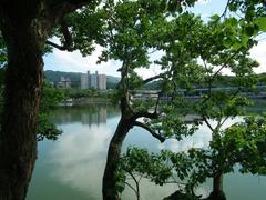 Dahu Park panoramic view