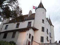 Chateau de Nyon in Switzerland