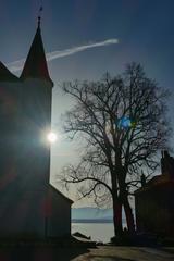 Nyon Castle