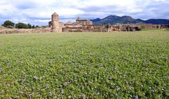 Blütenmeer within the Ciutadella de Roses with mountains of Cap de Creus Natural Park in the background