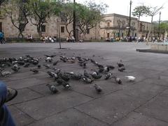 Plaza de la Liberación with Cura Hidalgo Statue in Guadalajara, Jalisco