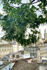 Limmat view from Lindenhof hill in Zurich