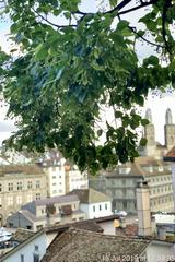 Limmat River view from Lindenhof hill in Zurich