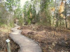 Boardwalk path through Coastal Plain and Sandhills Habitat Gardens at North Carolina Botanical Garden