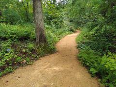 walking path in the North Carolina Botanical Garden