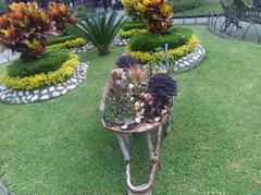 Jardinera en Palacio de Hierro de Orizaba