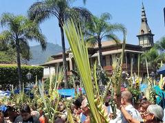 Palm Sunday 2018 procession in Orizaba, Veracruz