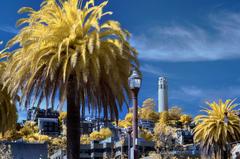 Coit Tower in Golden Infrared