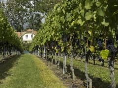 Vufflens-le-Château, Chigny, and Monnaz borders landscape in Vaud, Switzerland