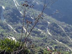 Road to Inca Trail to Sun Gate, Machu Picchu, Peru