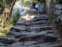 Inca Trail leading to Machu Picchu's Sun Gate