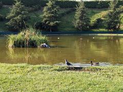 Parco del Portello in Milan