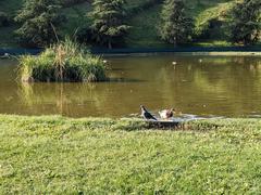 Parco del Portello in Milan