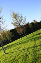 Trees and vegetation in Portello Park, Milan