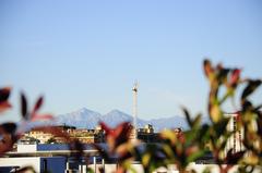 The Alps viewed from Portello park