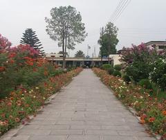 Directorate General Agriculture Research Institute building in Tarnab Peshawar