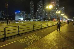 Night view of Sand Martin Bridge and slow bike lane in Sha Tin, April 2017