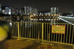 Night view of Sha Tin Rural Committee Road and Sand Martin Bridge in April 2017