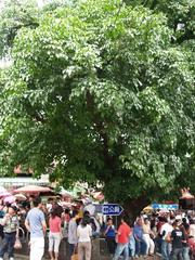 Entrance of Shenkeng Old Street