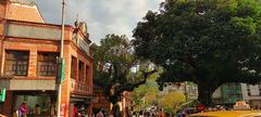 Shenkeng Old Street entrance with large landmark tree and famous tofu delicacies