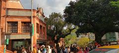 Shenkeng Old Street entrance with large landmark tree and tourists