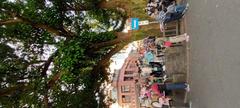 Shenkeng Old Street entrance with large Bead Tree landmark and tofu specialty shops