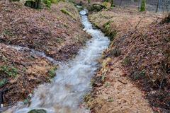 Unnamed stream near Svatošské Rocks