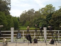 CCTV cameras in Luhu Park