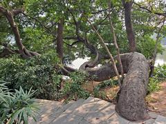 Luhu Park in Guangzhou, China with bridge, lake, and lush greenery