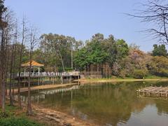 Luhu Park scenic view with water and lush greenery