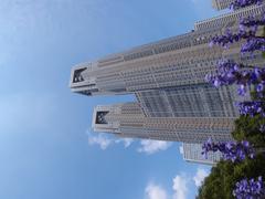 Tokyo Metropolitan Building at Shinjuku Central Park