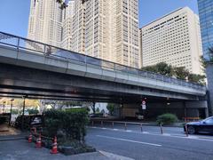 view of Tsunohazu Bridge from the southwest underneath with Tokyo Metropolitan Government Building and Shinjuku NS Building in the background