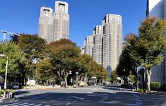 Shinjuku Central Park southwest corner with Tokyo Metropolitan Government Buildings in the background