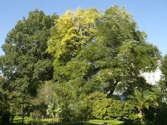 Botanical Gardens of Charles University in Albertov