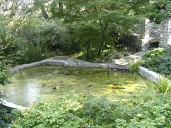 Charles University Botanical Garden pond