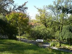 Pathway in Charles University Botanical Garden