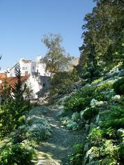 Rock formation at Charles University Botanical Garden