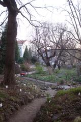 Botanical garden in Prague with trees