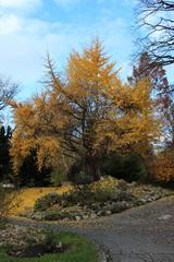 Botanical Garden of Charles University in Prague