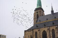 Cathedral of St. Bartholomew in Pilsen